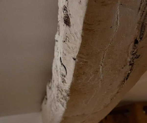 O Cosy , Duplex, Jacuzzi, Terrasse. Daire